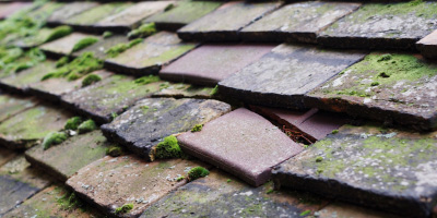 Youngs End roof repair costs